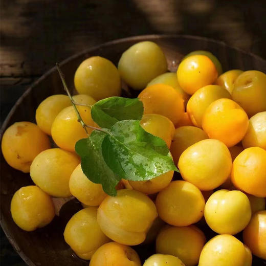 新疆小白杏（篮装）约1.5kg 商品图1