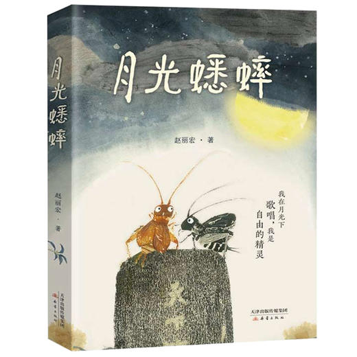 月光蟋蟀 商品图0