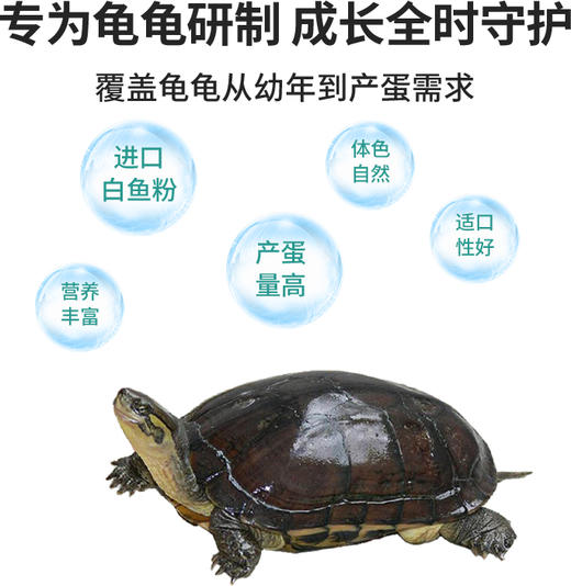 南强牌石金钱龟养殖场专用乌龟配合饲料安黄缘斑点黑颈饲料10公斤 商品图3