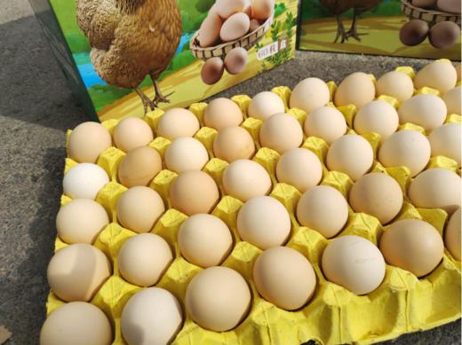 查干湖60枚笨鸡蛋礼盒 商品图4