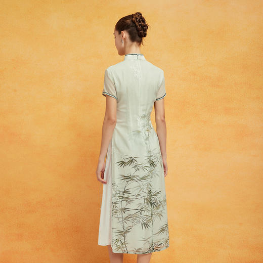 PF8H4斯尔丽2024新款改良旗袍奥黛款双层收腰放摆气质版定位花连衣裙 商品图1