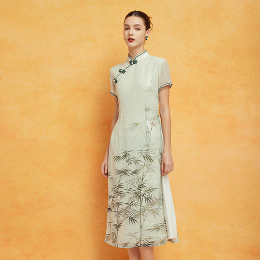 PF8H4斯尔丽2024新款改良旗袍奥黛款双层收腰放摆气质版定位花连衣裙 商品图2