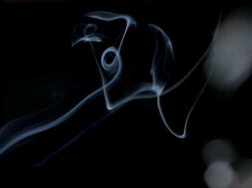 【青山特惠】禅意生活 艾草线香 20g （内含简易香插）（不能用券） 商品图8