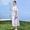中国风女童汉服套装夏季大童唐装儿童古装女孩夏装2024新款马面裙 商品缩略图2