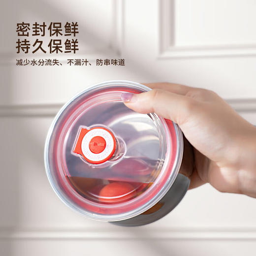 【小家电】龙的longde电热饭盒304不锈钢加热饭盒便携式办公室热饭神器一机双胆便当盒 LD-FH22B HF 商品图1