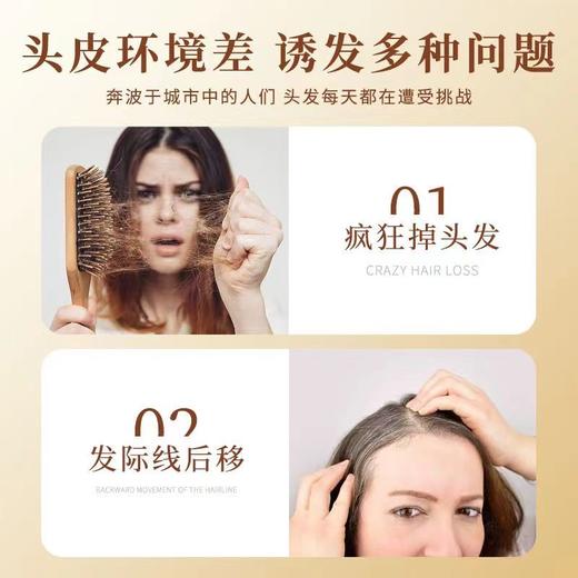 洗发水 防脱洗发水何首乌去屑控油洗发露蓬松滋养防脱发固发 商品图2
