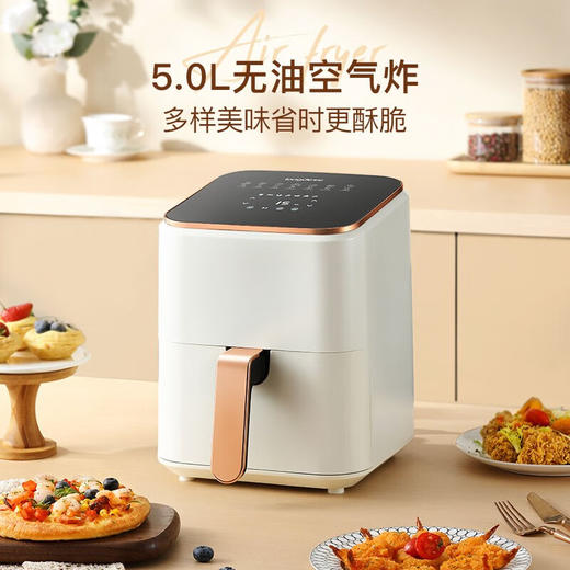 【小家电】龙的longde空气炸锅无油烟电炸锅 5L大容量家用智能触屏定时多功能煎炸锅薯条机 七大预设菜单多功能操作炸锅LD-KL5276 HF 商品图2