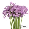 配花 | 紫骄花 商品缩略图8