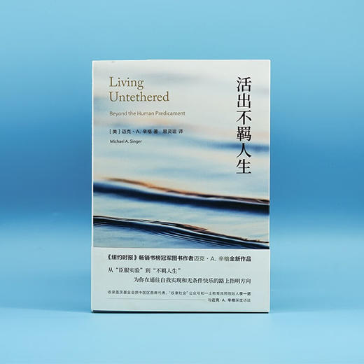 活出不羁人生（《臣服实验》作者全新作品） 商品图1