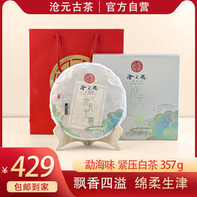 沧元玉露 紧压白茶 云南大叶种