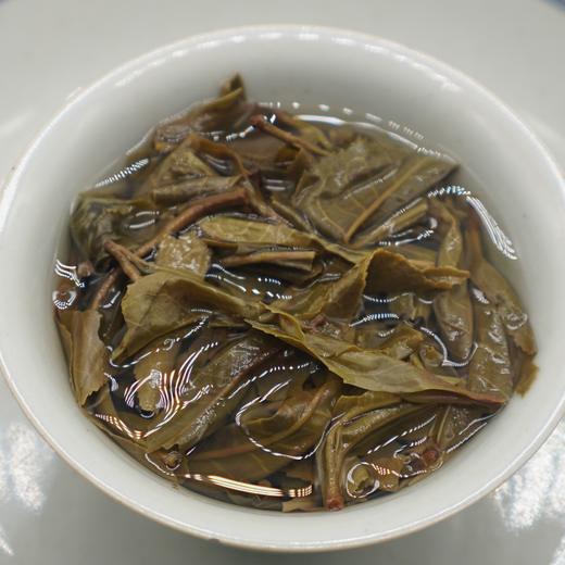 借云楼【云开】2024古树春茶357g饼·普洱茶生茶 商品图2