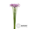 配花 | 紫骄花 商品缩略图3
