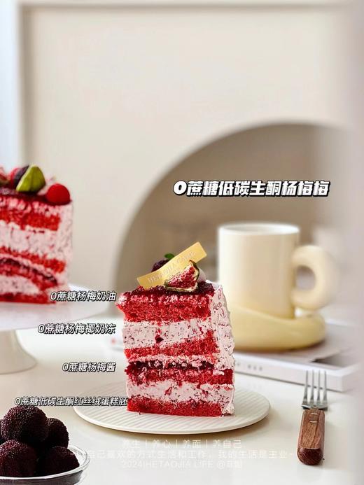 0⃣️蔗糖低碳生酮杨梅梅 商品图1