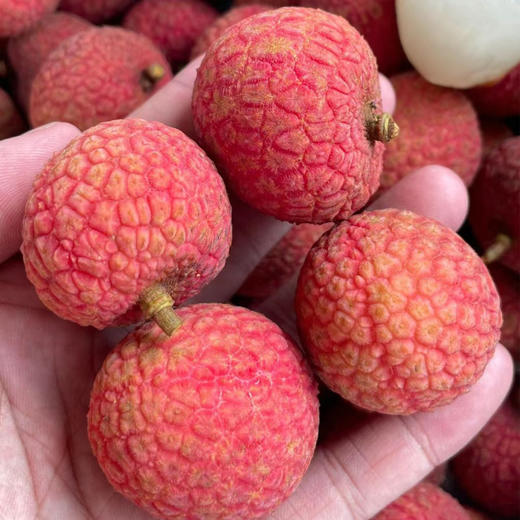 华荔转身白糖罂荔枝（礼盒装） 商品图2