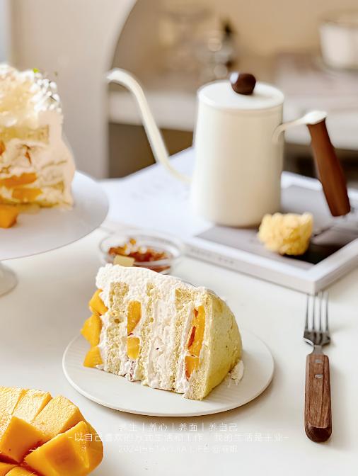 0蔗糖生酮雪燕桃胶芒果 商品图2