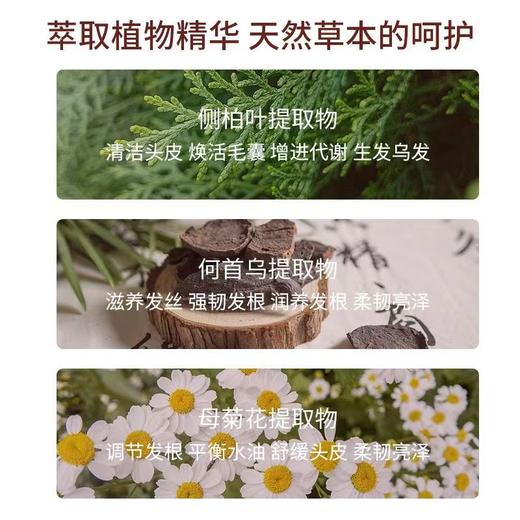 洗发水 防脱洗发水何首乌去屑控油洗发露蓬松滋养防脱发固发 商品图4