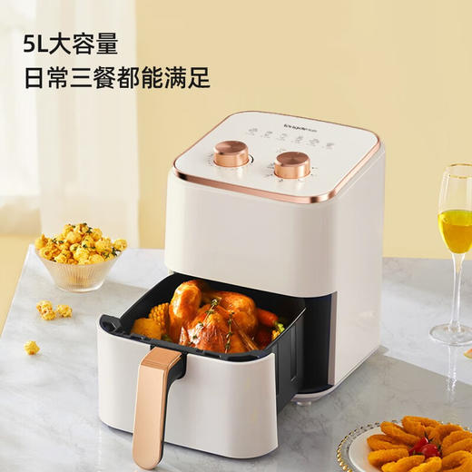 【小家电】龙的（longde）空气炸锅 家用大容量网红炸锅 双旋按钮温度时间都可以手动调节 全自动无油多功能不沾涂层薯条机 LD-KL5328 HF 商品图2