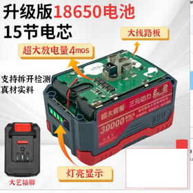 【货号020023】新款大艺款15节电池带电量显示灯15串1300毫安电池