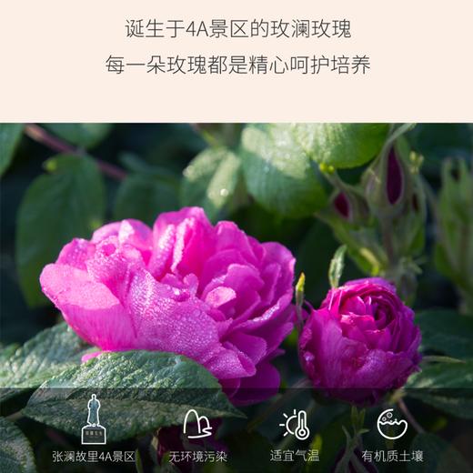 玫瑰蜜酱180g/瓶*2（有机玫瑰花加工） 商品图6