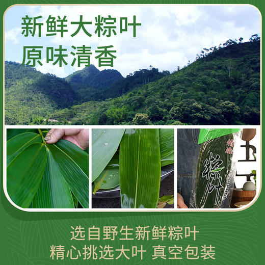 现做现包豌豆粽子米粽无添加（72小时内发货） 商品图2