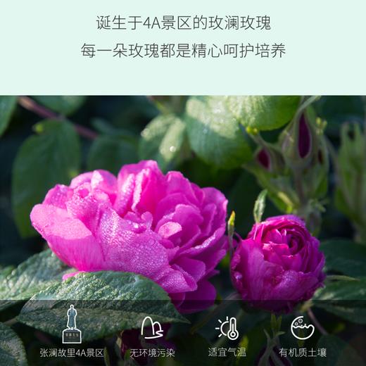 黑糖玫瑰180g/瓶*2（有机玫瑰花加工） 商品图6
