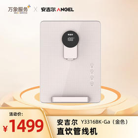 【安吉尔】即热管线机壁挂式Y3316BK-Ga （金色）