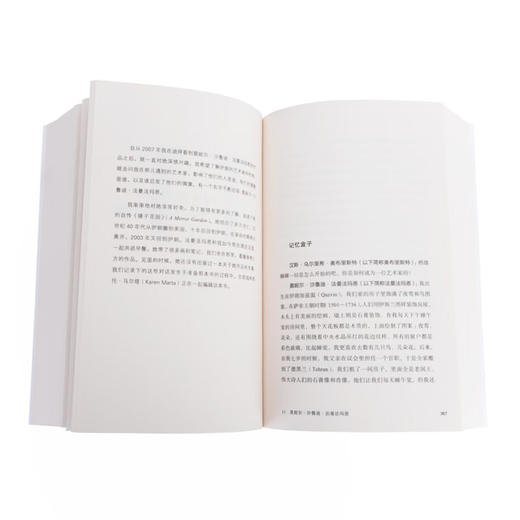 当代艺术的十九副面孔——大师与我们的时代（瑞士）汉斯·乌尔里希·奥布里斯特 著 商品图3