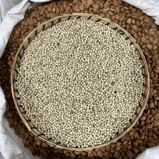 白胡椒 商品图2