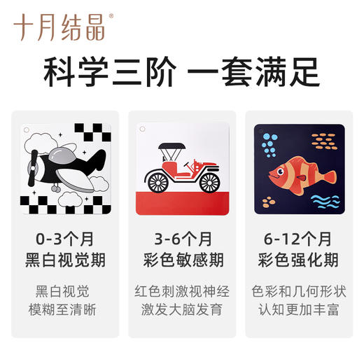 十月结晶新生儿早教黑白卡彩色卡片婴儿闪卡宝宝训练追视卡玩具 商品图2