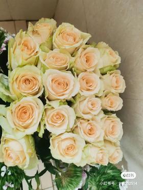 蜜桃雪山玫瑰10支