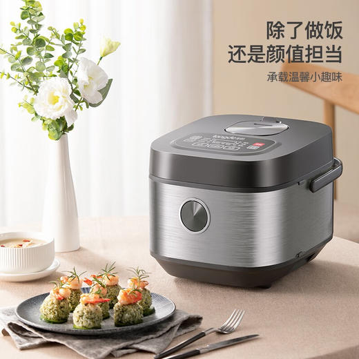 【小家电】龙的longde电饭煲 智能大按键多功能菜单电饭锅 4L容量24小时预约定时功能 厚釜内胆多层材质不易粘锅 4L（LD-FS45C） HF 商品图1