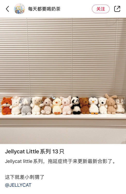 jc卷毛Little系列玩偶公仔小可爱 商品图3