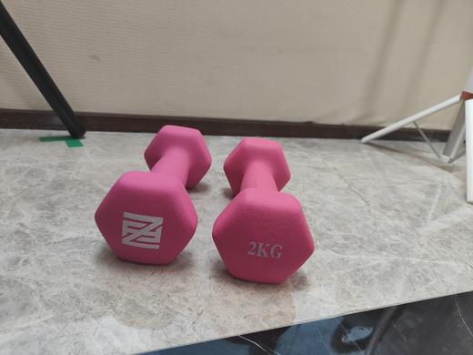 芳姐同款哑铃 商品图0