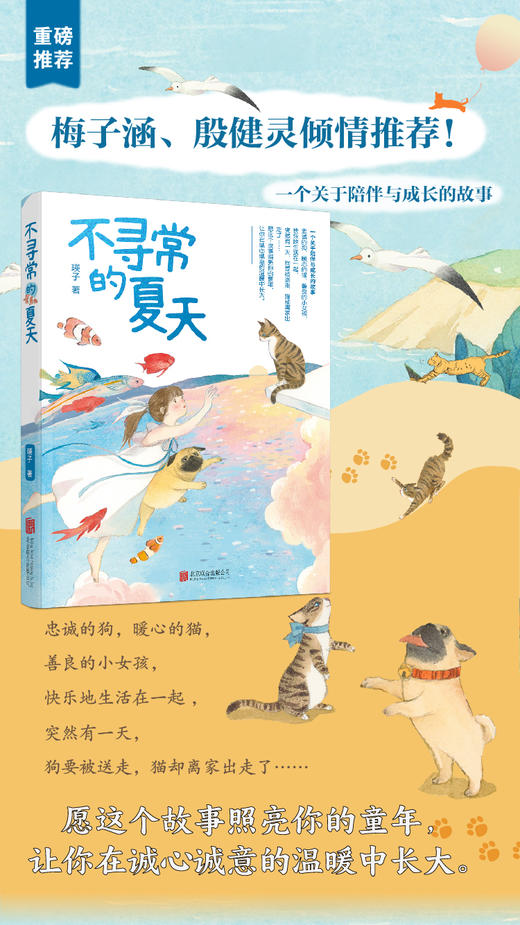 不寻常的夏天 商品图2