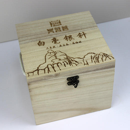 【老银针】鼎茗荟丨十五年陈老银针 白毫银针 福鼎白茶 2009年原料  200g 福鼎磻溪 木盒装 库存有限 售罄不补 商品图3