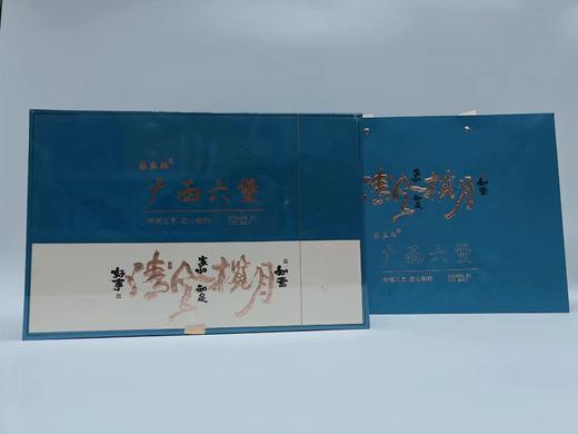 柔丝雨品牌 广西六堡茶叶 商品图1