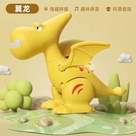 磁力拼装翼龙QT-6008YL