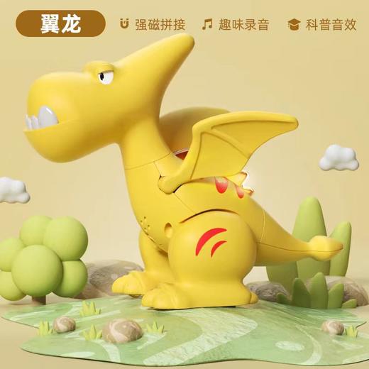 磁力拼装翼龙QT-6008YL 商品图0