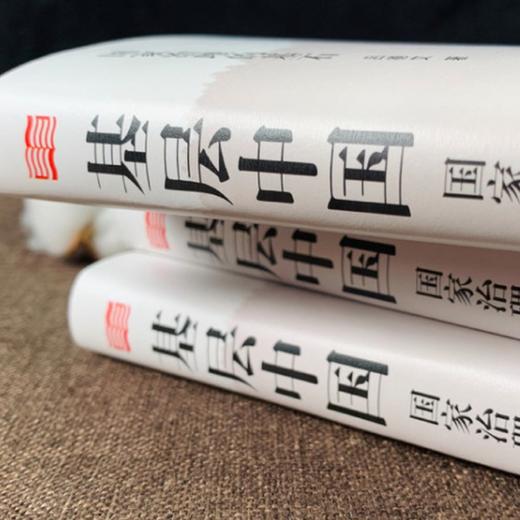 《基层中国：国家治理的基石》 商品图10