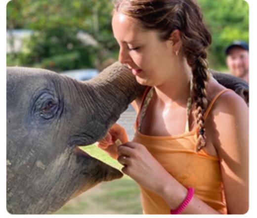 泰国普吉卡马拉海景大象营【卡马拉象园+丛林飞跃+骑大象+越野ATV】 商品图2