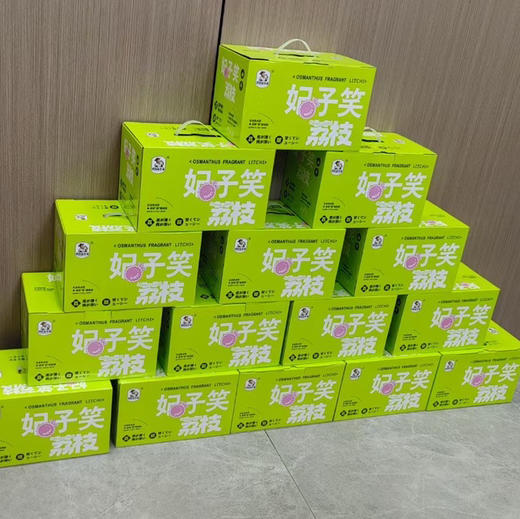 海南 妃子笑鲜荔枝 不泡水的干荔枝，孩子放心吃 商品图9