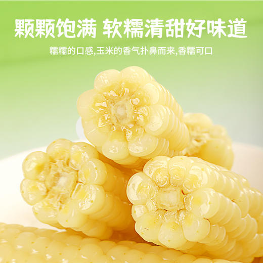 【云南特产！西双版纳拇指玉米】真空锁鲜，软糯香甜，细腻无渣，新鲜白糯迷你手指玉米儿童早餐 商品图3