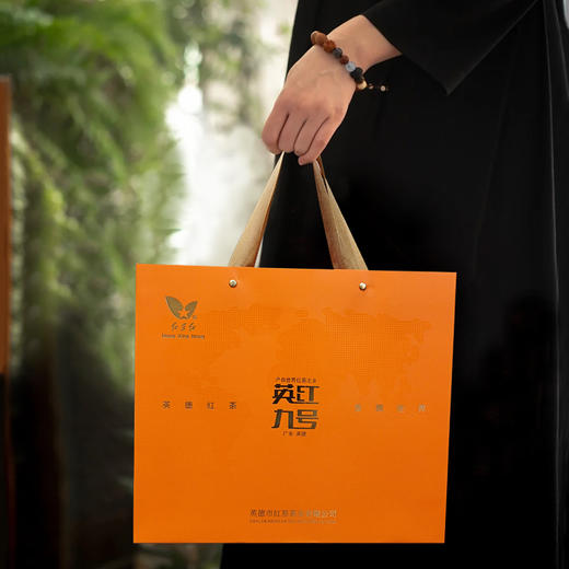 红星红英德红茶一叶知青.福相伴英红九号随手礼礼品茶 商品图4