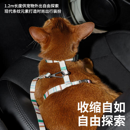 zeze法式千层牵引绳-B(包邮) 商品图2