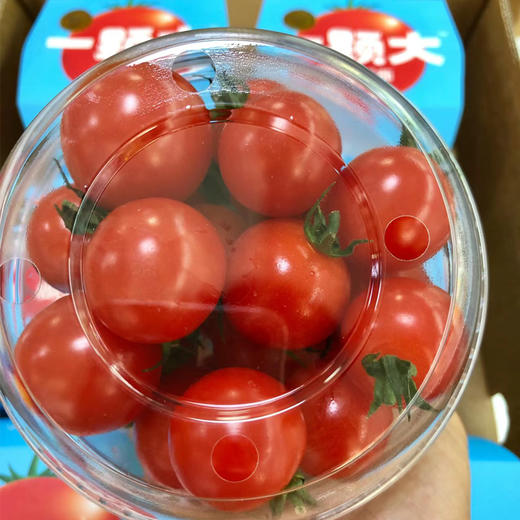 一颗大樱桃番茄 350g/盒 商品图1