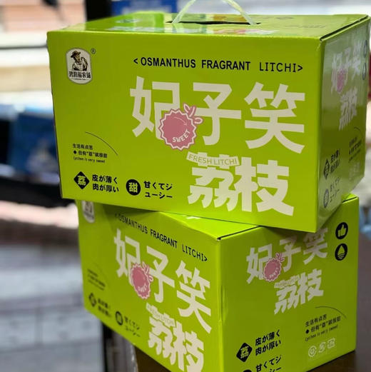 海南 妃子笑鲜荔枝 不泡水的干荔枝，孩子放心吃 商品图14