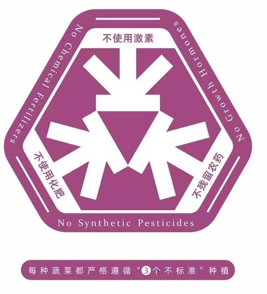 野黄瓜（3斤） 商品图2