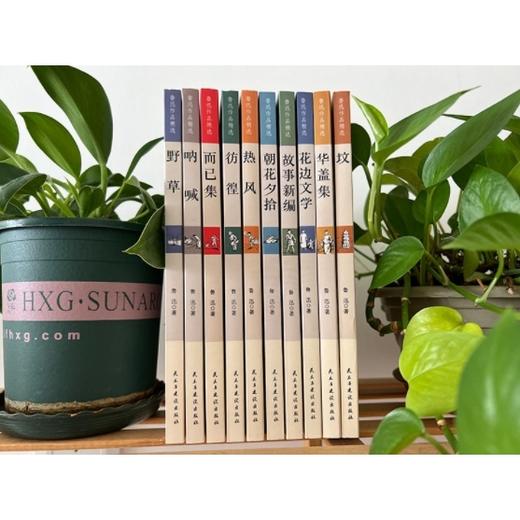 鲁迅作品精选（10册/套） 商品图3