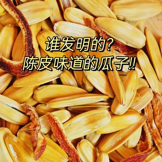 大丰陈皮瓜子 商品图0