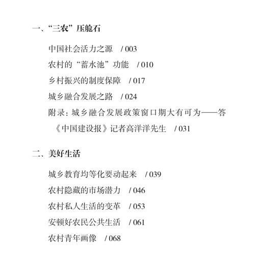 《基层中国：国家治理的基石》 商品图4